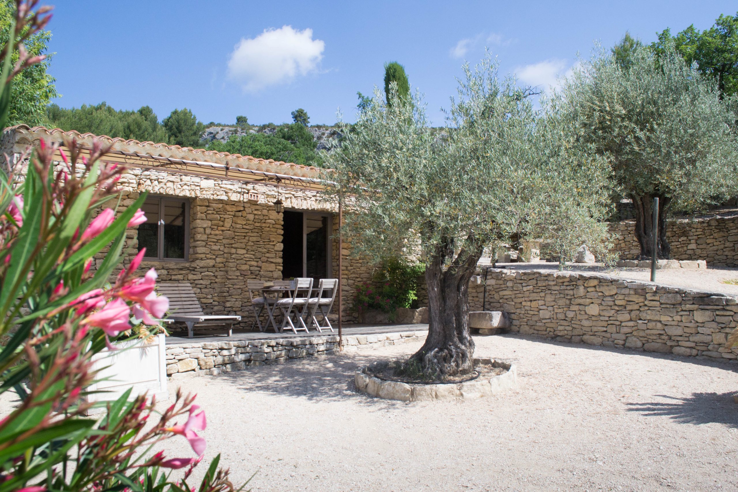 Gîte L'Olivier Luberon